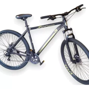 Bicicleta Fiat Rodado 29