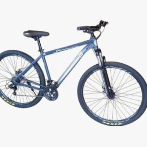 BICICLETA FIAT RODADO 29