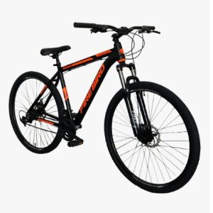 BICICLETAS R29 FIRE BIRD ALUMINIO