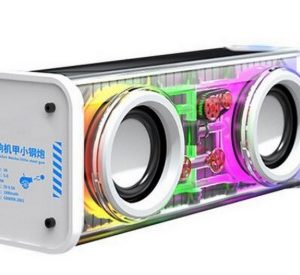 PARLANTE CON LUZ BLANCO SUONO BT5.3