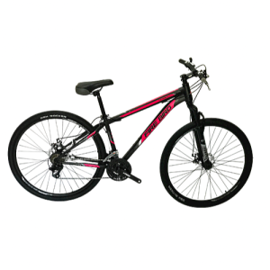 BICICLETA R29 FIRE BIRD TURBO acero