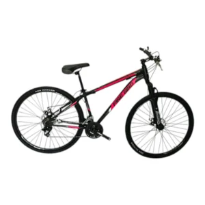 BICICLETA R29 FIRE BIRD TURBO acero
