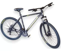 BICICLETA FIAT RODADO 29