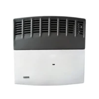 CALEFACTOR TIRO BALANCEADO 5000 KCAL